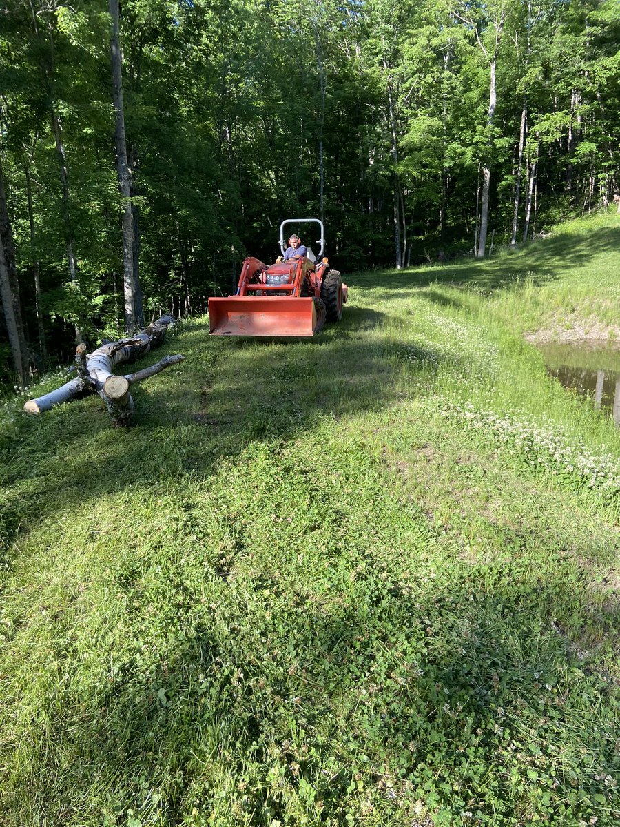 NGolemis's tweet image. 