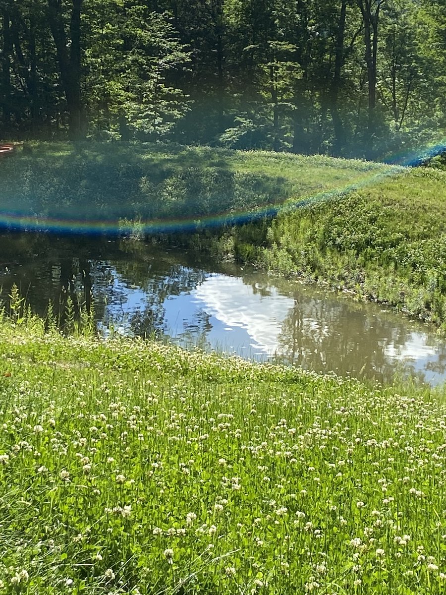 NGolemis's tweet image. 