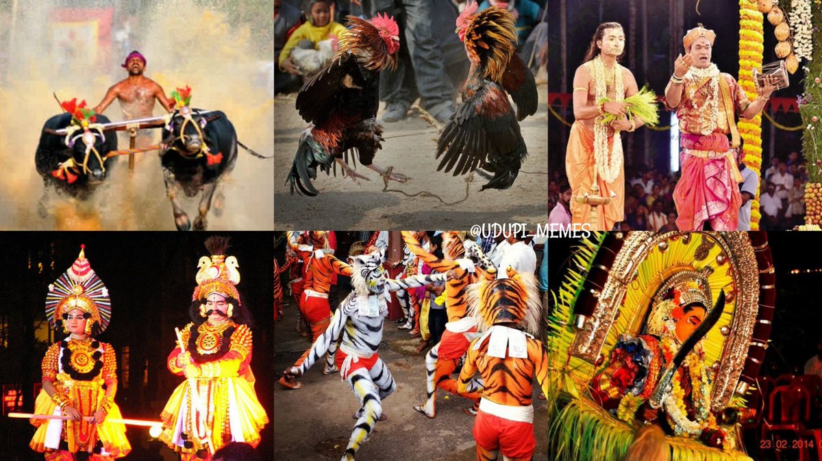 Udupi_Memes_UM's tweet photo. Land of diverse culture Tulunadu and it's unique language Tulu deserves recognition doesn't it? 
#TuluOfficialinKA_KL #Tulu https://t.co/Y2A1YazHde