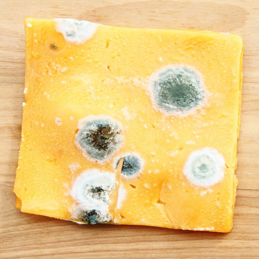 volwife's tweet photo. You vs. the cheese she told you not to worry about https://t.co/k14tXXUlvX