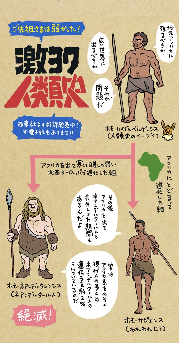 ホモ・ハイデルベルゲンシスという人類史のイーブイみたいなのがいまして、彼らが

アフリカを出て
北西ヨーロッパに出て進化
➡️ホモ・ネアンデルタレンシス
 (通称ネアンデルタール人)

アフリカにとどまって進化
➡️ホモ・サピエンス
 (我々ヒト)

https://t.co/nxx4QGqr5Y 
となります。 