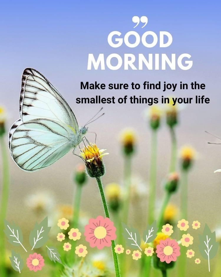 vincentmenezes's tweet photo. #Finding_Joy!
#GoodMorningEveryone π https://t.co/Lr065XTHHa
