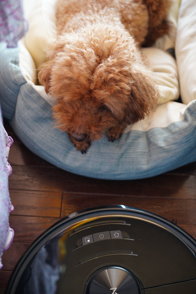 この時のマンガ作成部屋&リビングは綺麗なものですが、今はずいぶん散らかしぎみ😰あの頃を取り戻すべくロボロック S6V52を投入してみましたよ😝😝😝 