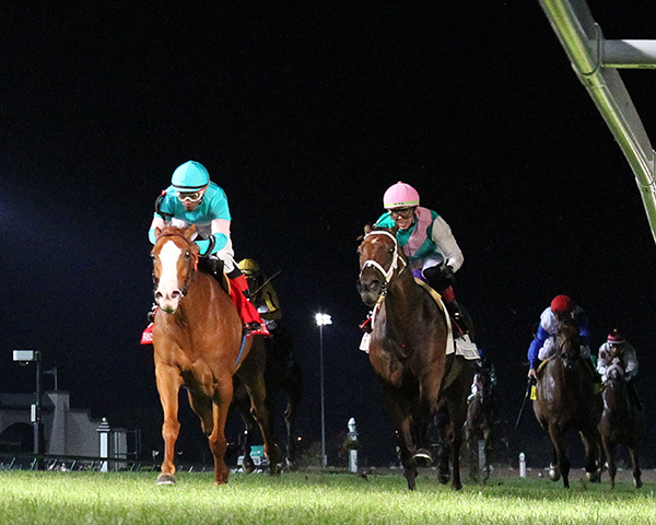 BH_AEberhardt's tweet photo. Nicely timed stretch move as Irish-bred #Mintd with @RSantana_Jr wins the G3T @OldForester #MintJulep @ChurchillDowns for @brenpwalsh and owners @BradleyTBs Anna/Tim Cambron, #TeamHanley and Madaket Stables. By #OlympicGlory B-Joe Banahan Recap from @BH_BKing #BHDaily #BH+ https://t.co/u8mZqhsd0e