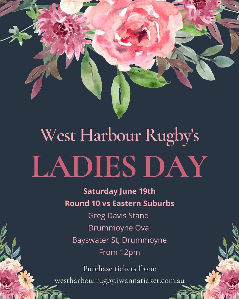 West Harbour Rugby tweet media