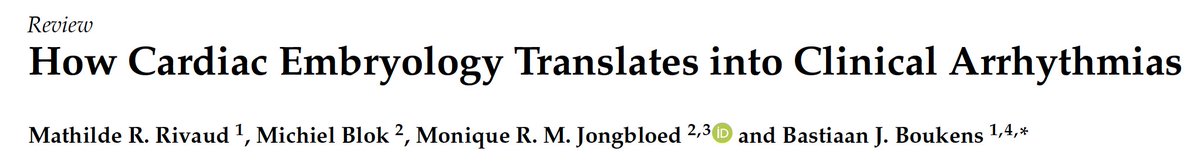 Team effort! @Mat160430 <a href="/blok_michiel/">Michiel Blok</a> @MoniqueJongbloed
 How Cardiac Embryology Translates into Clinical Arrhythmias mdpi.com/1148484 via <a href="/MDPIOpenAccess/">MDPI</a>