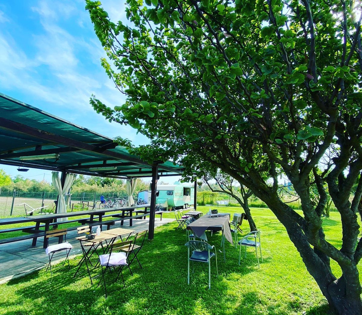 EVALcreations's tweet photo. 🌞#Springvibes🌴visiting #Santerasmo with great hospitality of the family owners of #Experientia #food #truck 🍔🥂 & the 🥑🍆🥒of Azienda Agricola da Gino e Inda 🤗😍#venicelagoon #rentabike #nature #picnicpackages #hamburgergourmet #vegetables #farmlife #km0
🚲🐴🐐🐑🐓🍔🧺🥂 https://t.co/KvoL9xdwn5