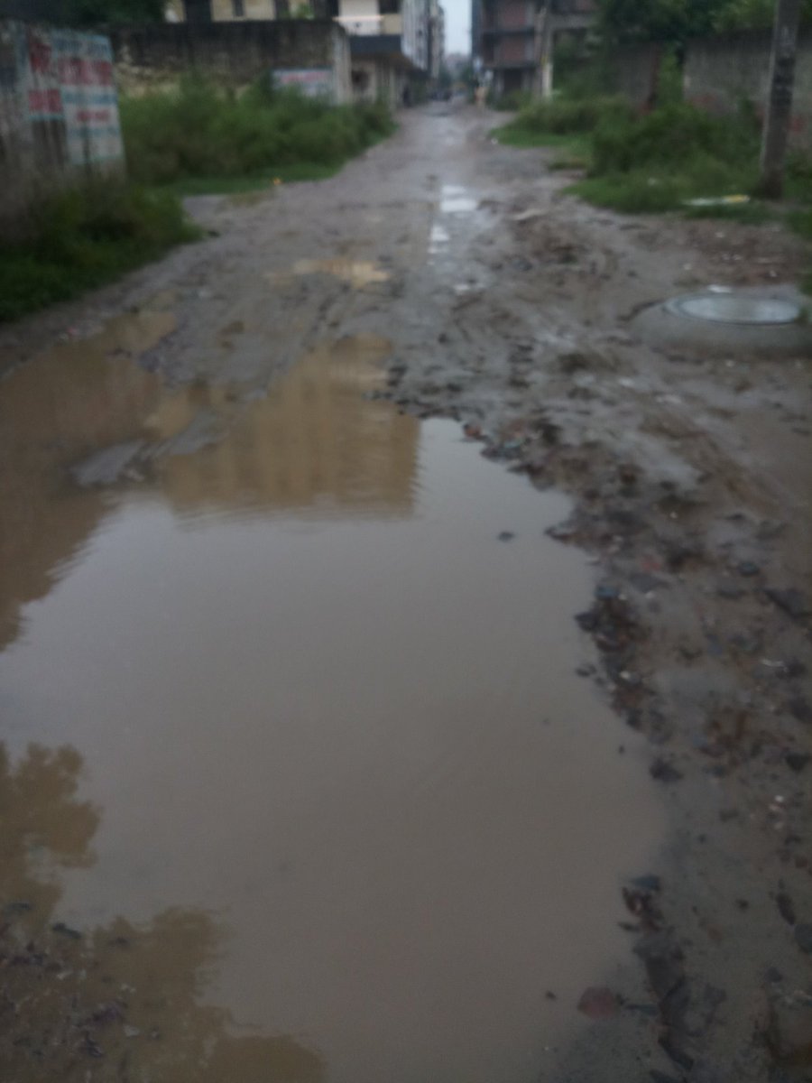 <a href="/dmgbnagar/">DM NOIDA Gautam Buddha Nagar</a> महोदय आपसे #शाहबेरी की जनता का विनम्र निवेदन है की बारिश होने से पहले वहां की सड़क जो वर्षों से खत्म हो चुकी है उसे बनवाने की कृपा करें, वहां पर लोगों को आने जाने में काफी दिक्कतों का सामना करना पड़ रहा है, हालत इस फोटो में देख सकते हैं।धन्यवाद। <a href="/CMOfficeUP/">CM Office, GoUP</a> <a href="/CeoNoida/">CEO, NOIDA Authority</a>