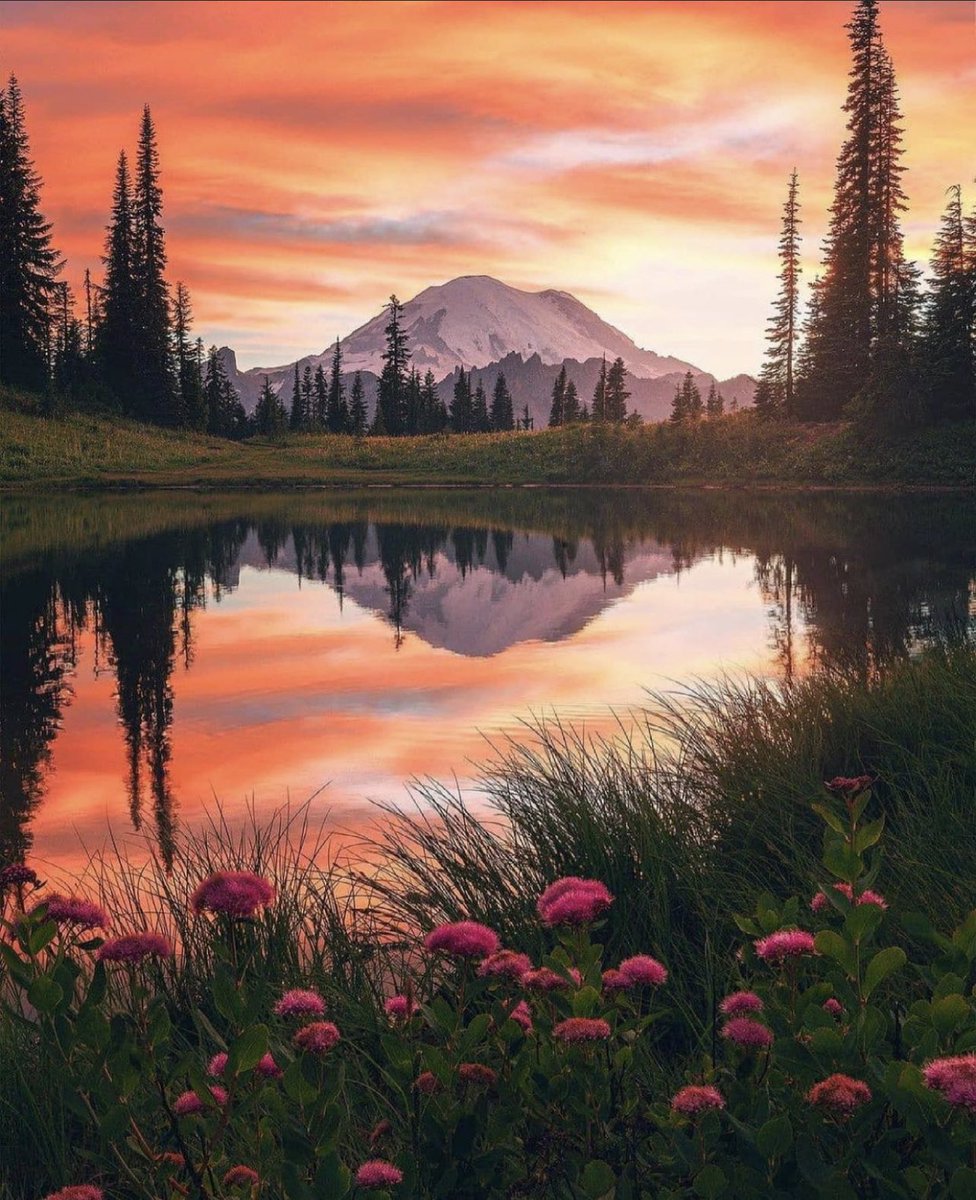 HenryRockwell13's tweet photo. Beautiful ☀️ https://t.co/oyXefEzelU