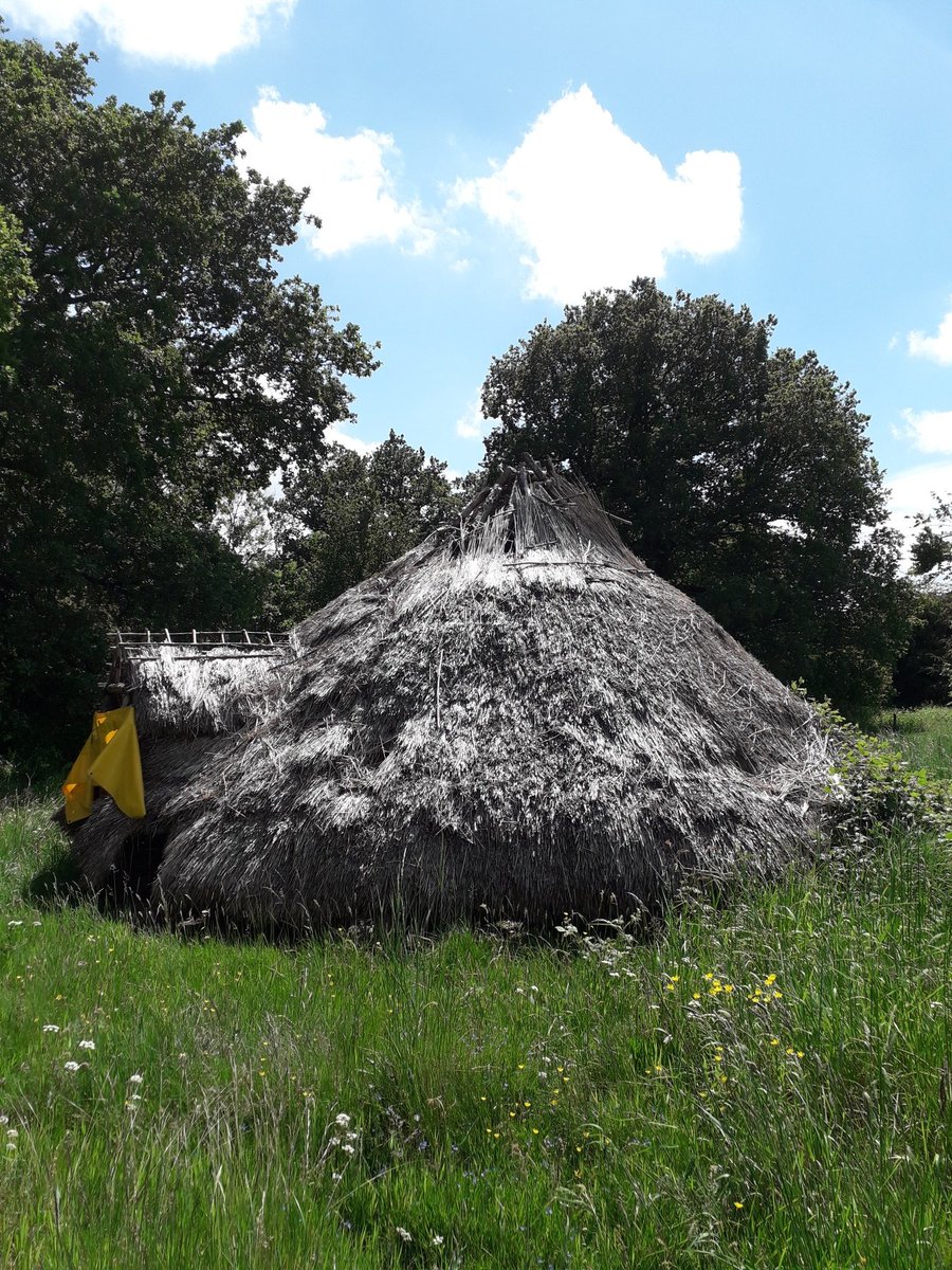 CaerAlyn Archaeology tweet media