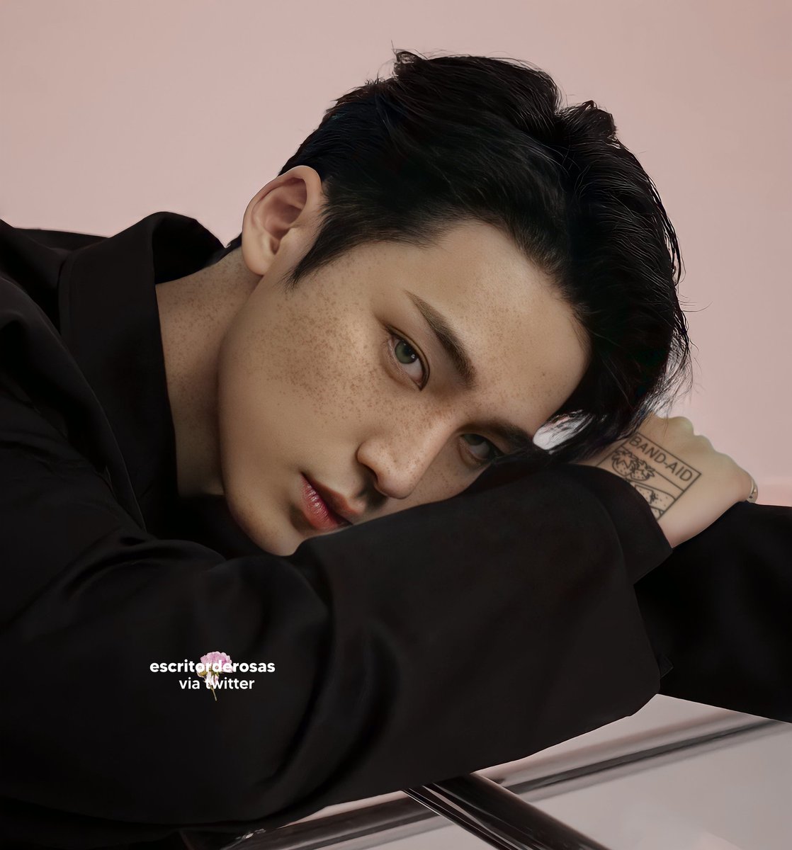 escritorderosas's tweet photo. Wyslet                                               Mingyu https://t.co/utdEsgb3pA
