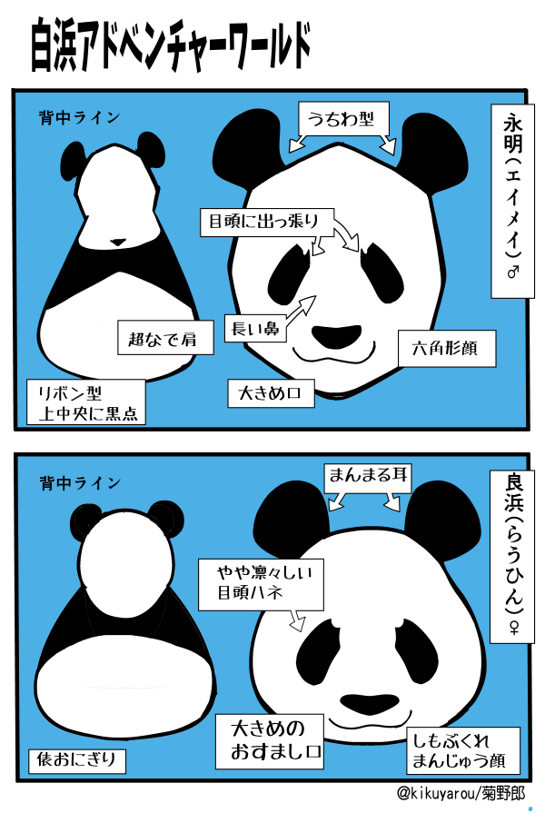 上野以外も見たいって言われたので、現在の日本在住パンダたちまとめ 