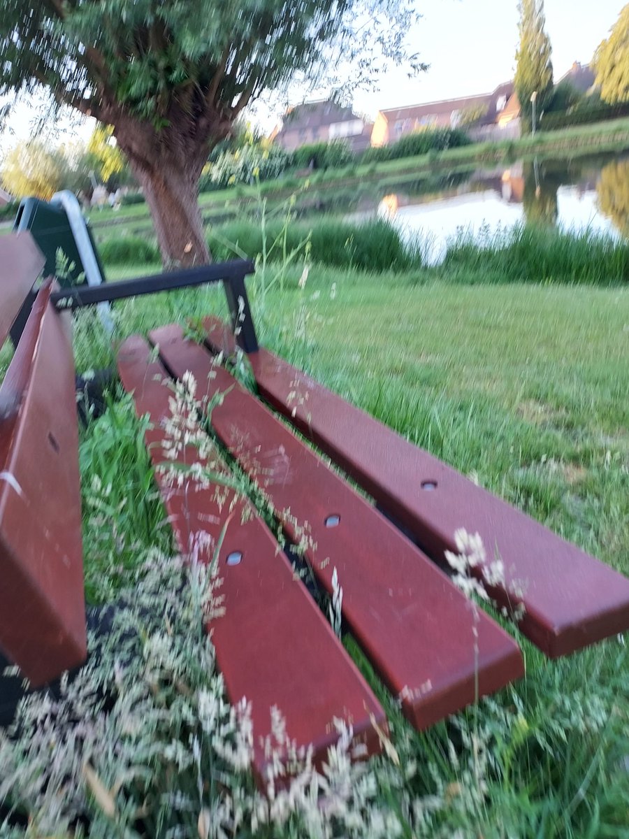 CarillonJohan's tweet photo. Hee-hoi wethouder Jan-Willem Stoop, alles goed daar? Een mooie zondag maar mocht u nog gezellig gaan fietsen, ga vooral niet op een bankje zitten aan de brandput in Lage Zwaluwe. U gaat absoluut uw poepert zeer doen aan de broeinetels. Nou dag hoor, doe de groeten aan uw partij. https://t.co/PMCAdhd2hl
