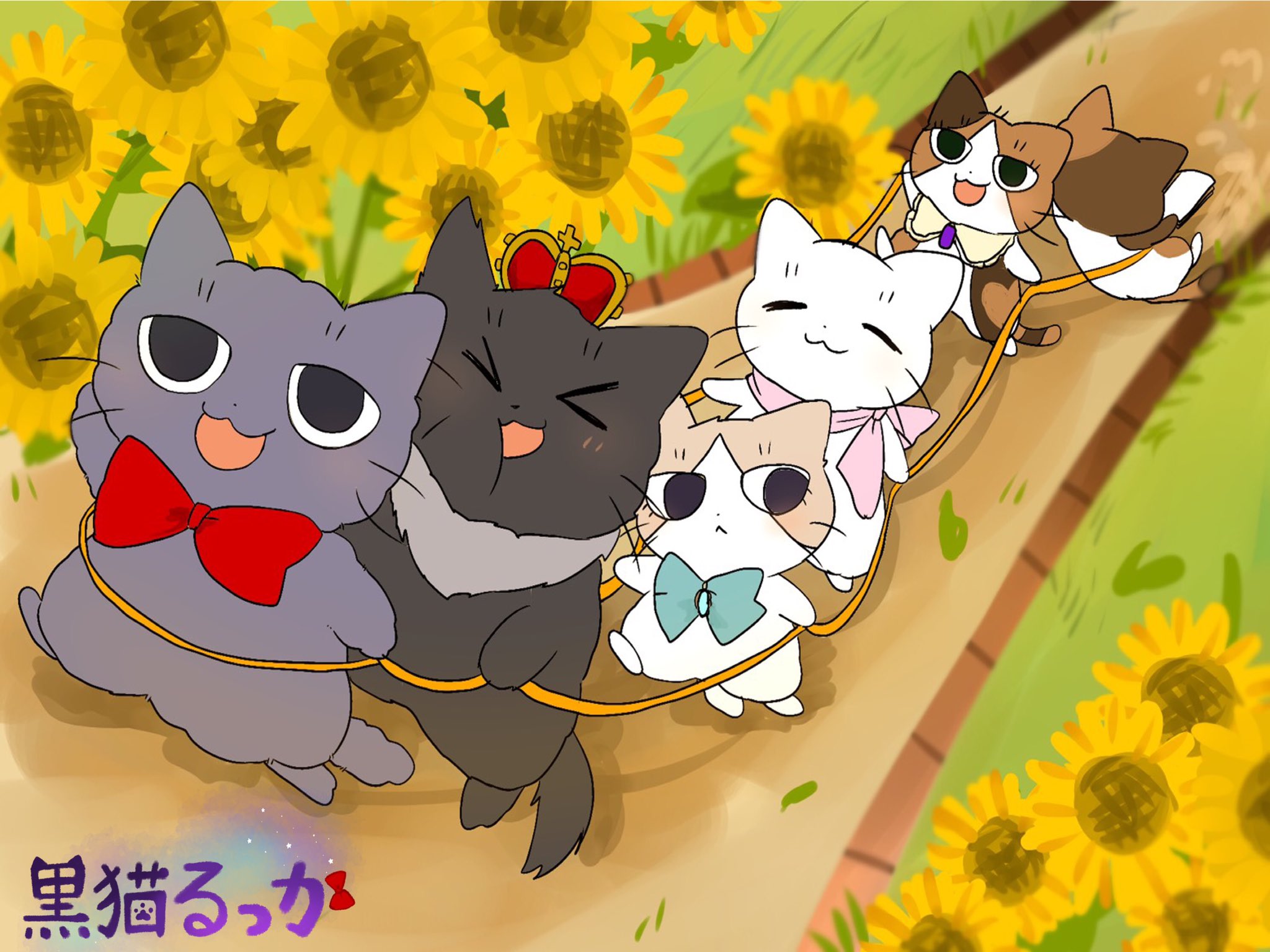 黒猫るっか Kuronekorukka Twitter