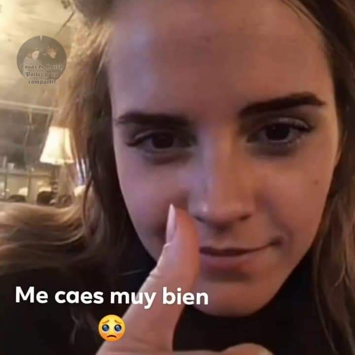 𝗕𝗢𝗡𝗡𝗜𝗘. (@vol6chang) on Twitter photo 