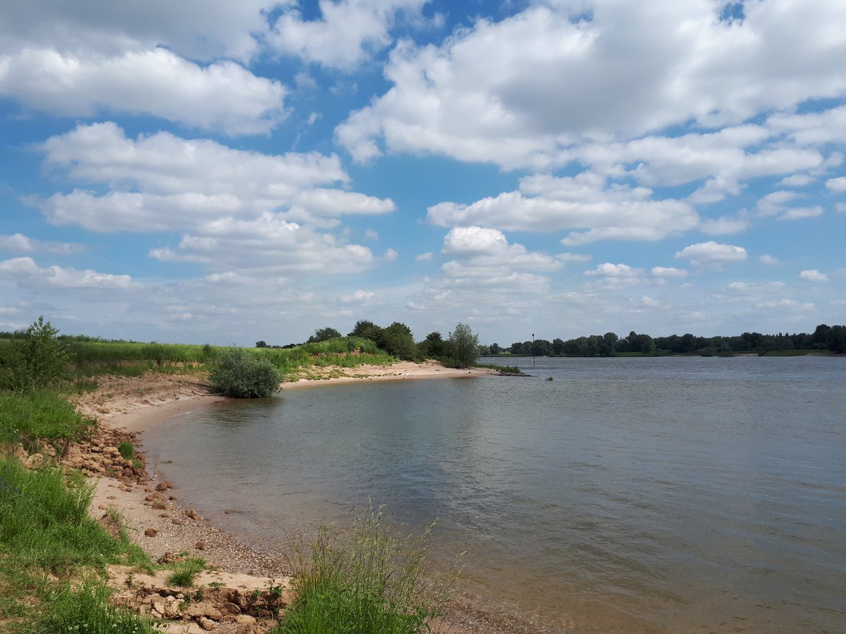 DietermanTjark's tweet photo. Prachtige hollandse #wolkenluchten boven de #polders en #rivieren maakten mijn #wandeling gistermiddag langs de #Waal in de buurt van Slijk-Ewijk nog mooier dan die al was. Fijne zondag🙂. #natuur #landschap #lente #ommetje #mooieluchten #SlijkEwijk https://t.co/bXmYEHeLQZ