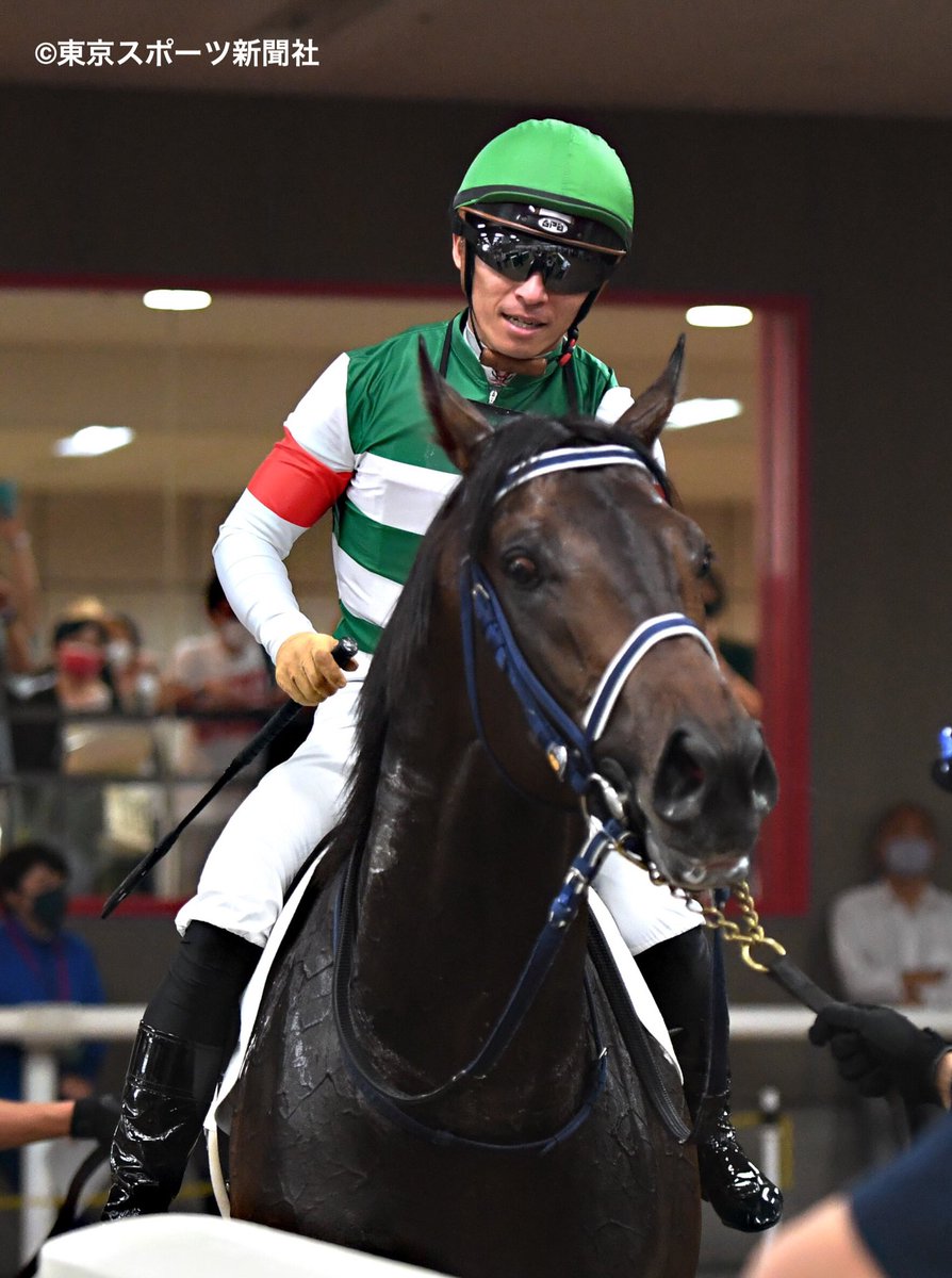 東スポ写真部 V Twitter ２０２１年６月１３日 競馬 レース ５ｒ メイクデビュー東京 ２歳新馬 １着６番 ヴァーンフリート リオンディーズ ロスヴァイセ 手塚貴久厩舎 キャロットファーム 川田将雅 騎手 府中市日吉町 東京競馬場 新馬 T Co