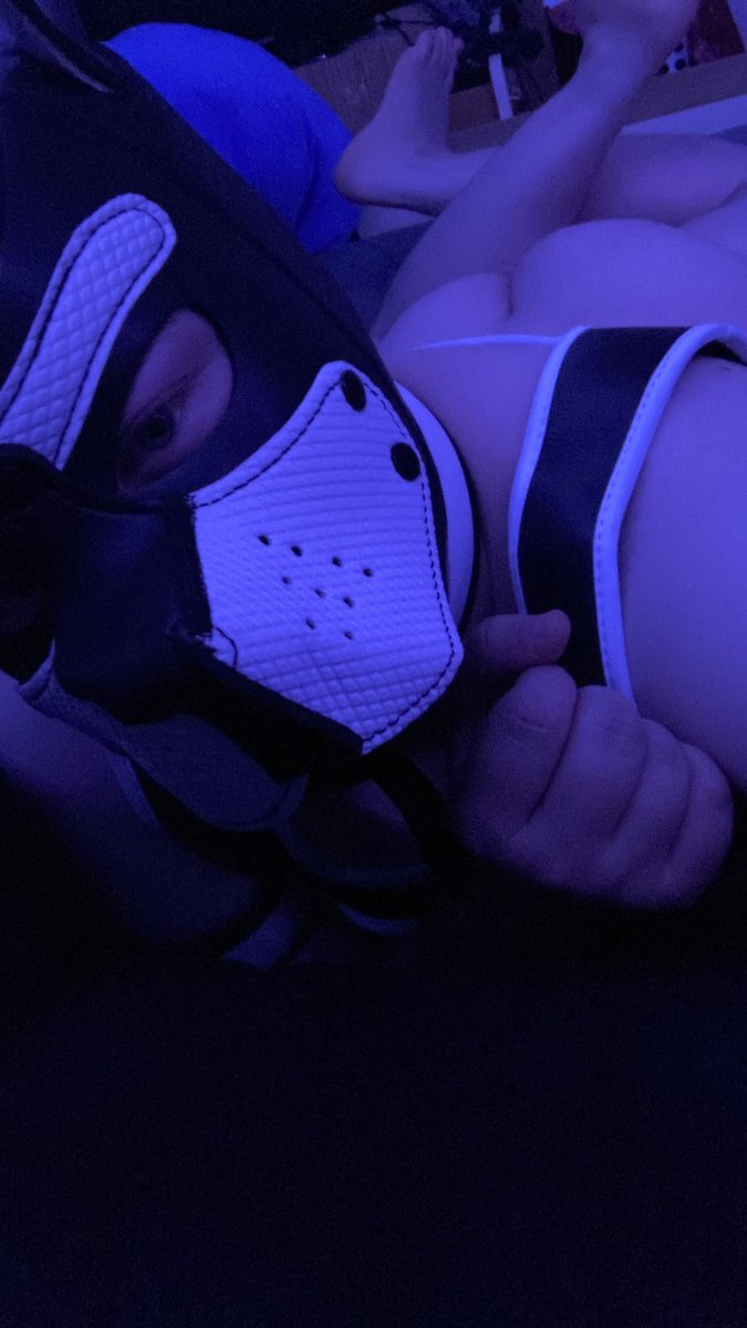 pupwink's tweet photo. hi! i’m wink! 😉🐶 I need an alpha real bad 🥺 someone to teach me how to be a good pup!

#pupplay #nsfw #gay #pupboy #gaypupplay #furry #butt #letsbefriends #lookingforalpha https://t.co/orMdFy2km6