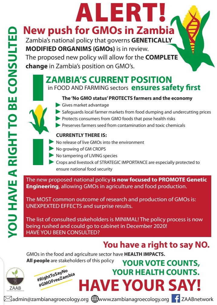 It is believed that consumption of these genetically engineered foods can cause the development of diseases which are immune to antibiotics. Besides, as these foods are new inventions, not much is known about their long term effects on human beings. 
#GMOFreeZambia
#RightToSayNo