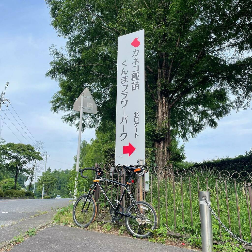 _yoji's tweet photo. 今週もミニベロでプチサイクリング♪
やっぱ登りを選ぶ...
#イマソラ
#ミニベロ
#サイクリング
#R353
#そろそろ下りましょう
#ぐんまフラワーパーク https://t.co/SDWUXzGq5Z https://t.co/rffvrv3YUO