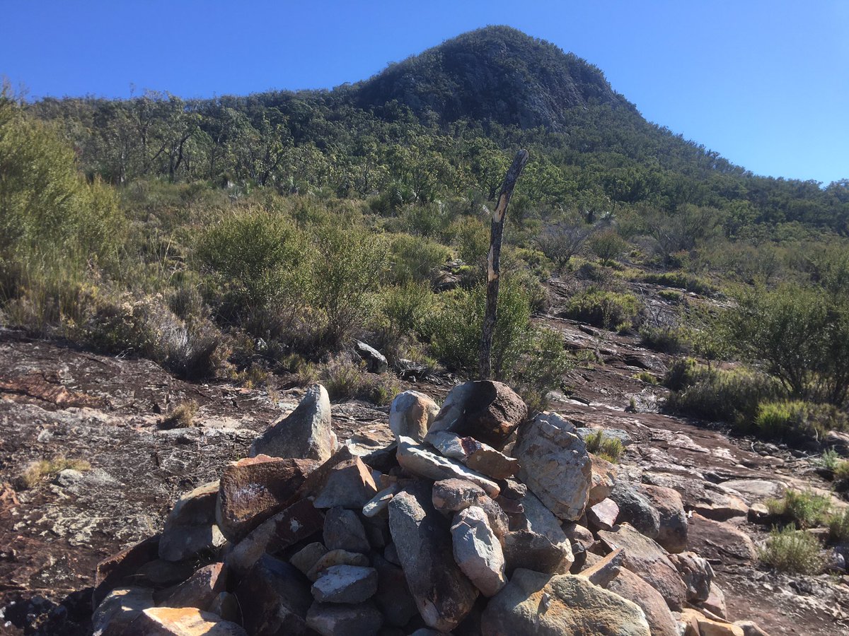 HelenBostock5's tweet photo. Nice to get out today and take a break from marking and work. Mt Greville, Moogerah peaks. So lucky to be close to so many amazing hikes in SEQld. Great views and beautiful Qld bush. Perfect weather #qldwinter https://t.co/TVUFOdH8we