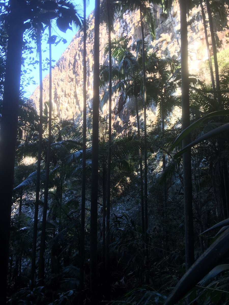 HelenBostock5's tweet photo. Nice to get out today and take a break from marking and work. Mt Greville, Moogerah peaks. So lucky to be close to so many amazing hikes in SEQld. Great views and beautiful Qld bush. Perfect weather #qldwinter https://t.co/TVUFOdH8we