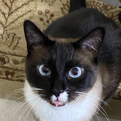 #NewProfilePic