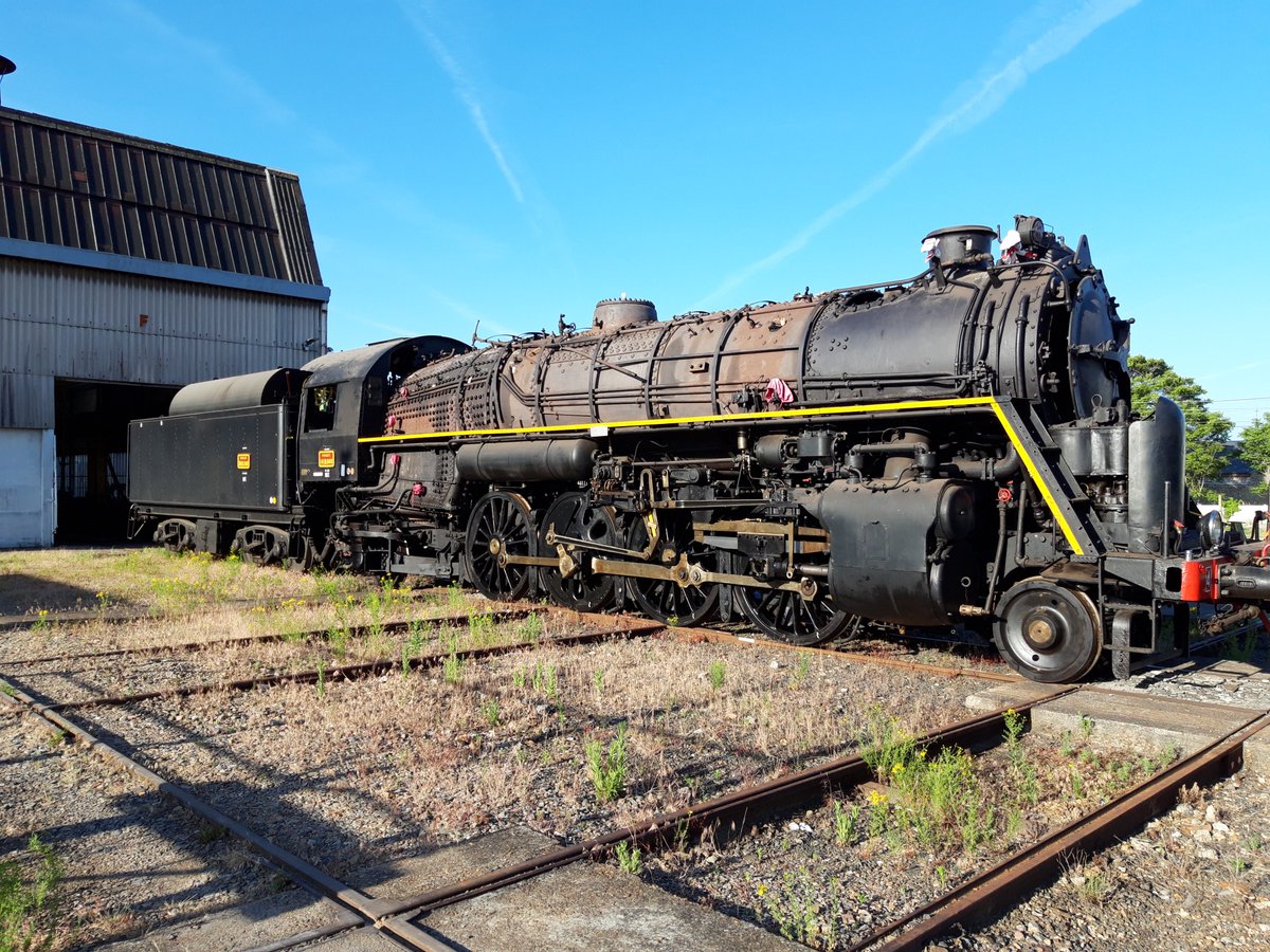 Bain de soleil matinal !
