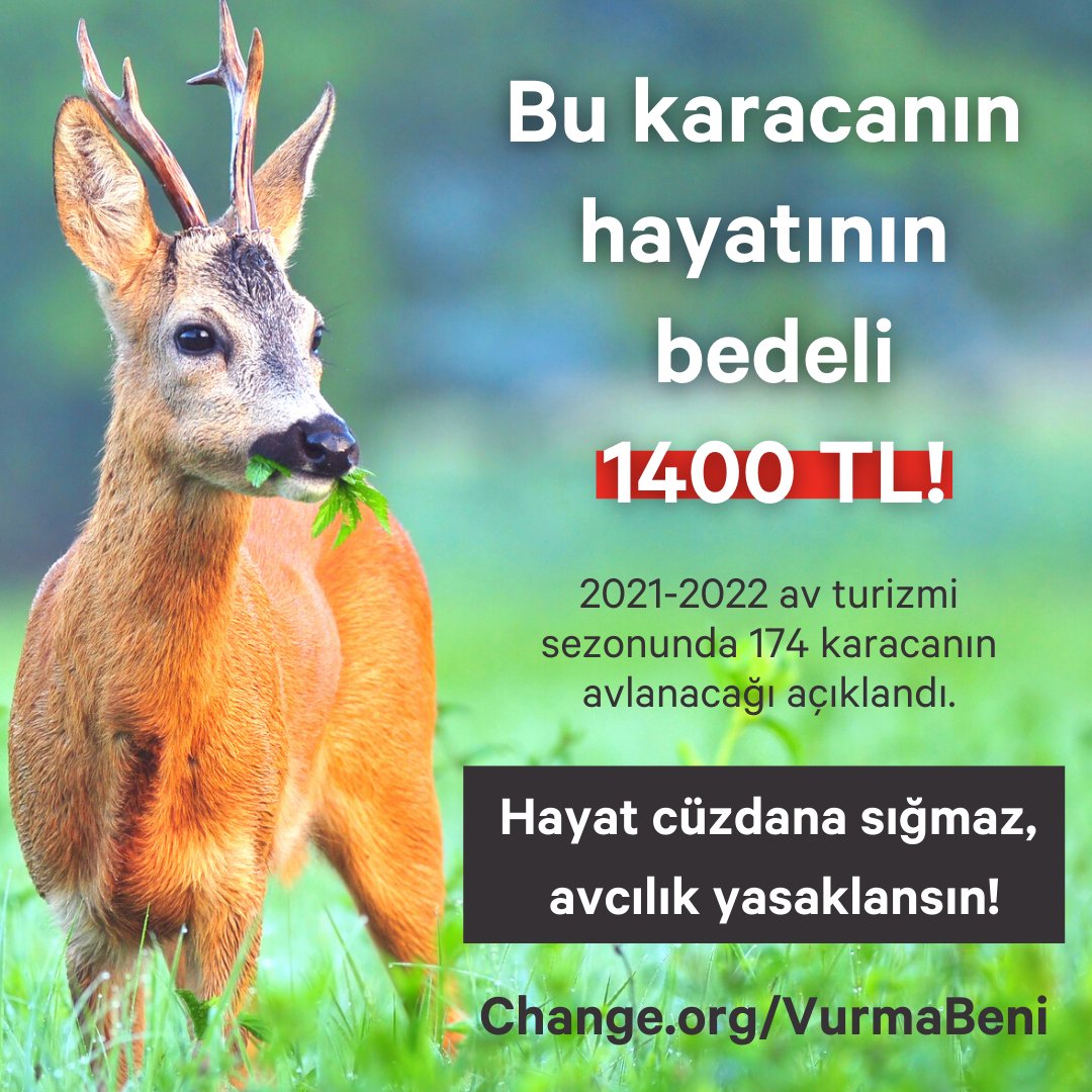 🐾174 karaca zevk için öldürülecek!

Av turizmi kotaları açıklandı:
Bu sezon 1 karacanın yaşamının bedeli 1400 TL.

174 karacadan elde edilecek 250 bin TL, bu canların kaybını telafi eder mi?

Avcılığın yasaklanması için imzala, paylaş:
👉Change.org/VurmaBeni