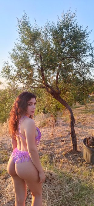 Oh look, a tree https://t.co/NWzkSItBjD