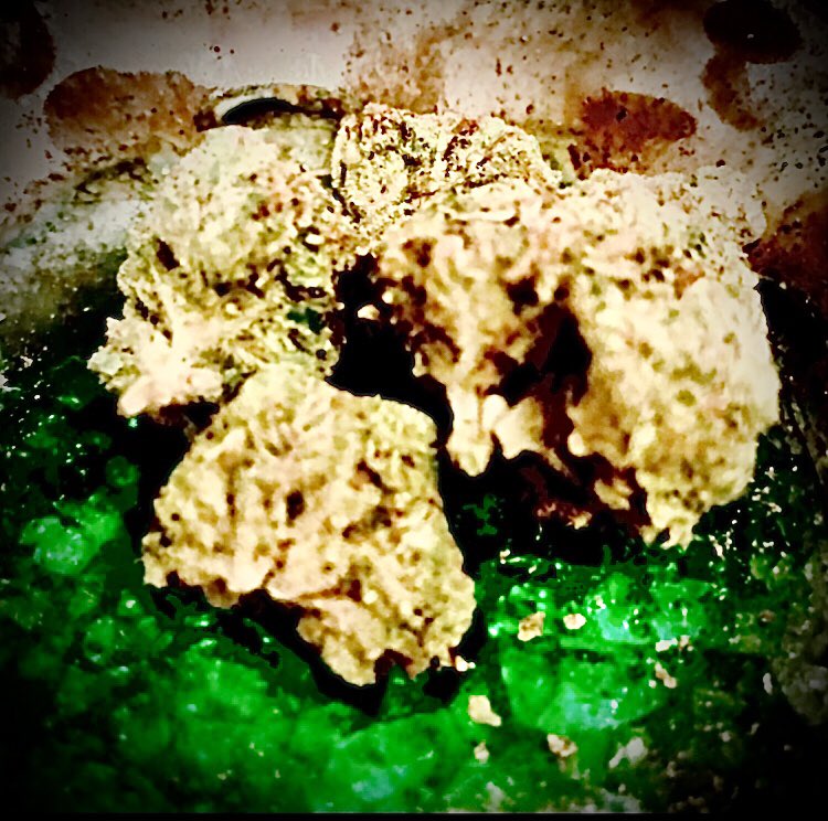 Pretty , tasty hybrid nugs #hybridstrain #sativa #indica #cannabisculture #cannabinoids #StonerFam #stonerrock