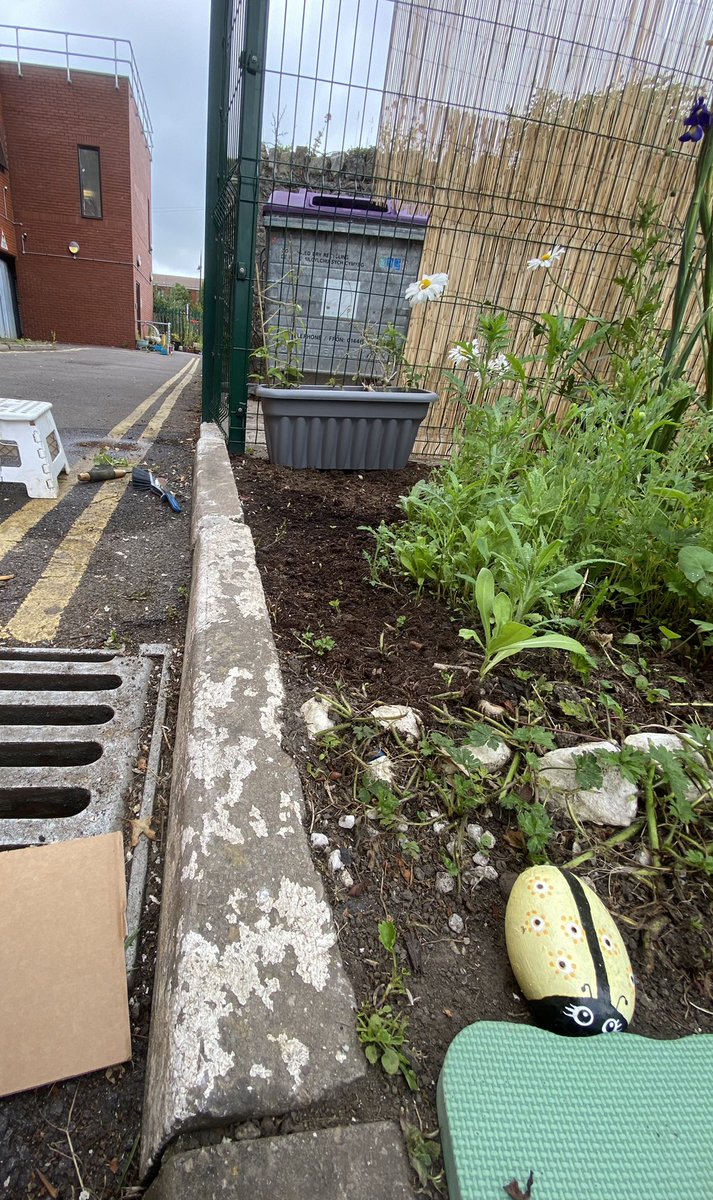 shewolfgirl70's tweet photo. Did a bit of weeding &amp; painting to spruce up the wildflower area yesterday #GardeningTwitter #workgarden #nature https://t.co/0SzdgxaMCO
