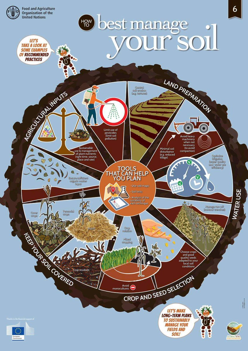 RonaldVargasJob's tweet photo. How to best manage your #soil? ๐ค๐พ๐ฉ๐ฝโ๐พ
๐ Discover some recommended practices and tools to sustainably manage soils #SoilDoctors ๐
Check all the posters of the series and learn more about the Global Soil Doctors Programme โก๏ธ https://t.co/di4VCLj8P9 https://t.co/hRcinWjzAY
