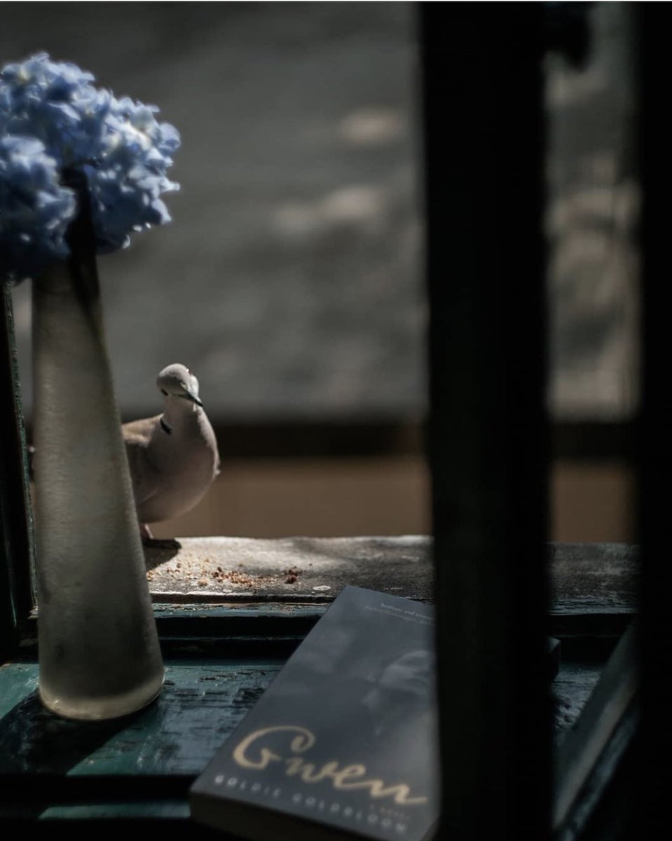 AnneMortier1's tweet photo. ‘Morning…
Katia Chausheva https://t.co/zJhvJjkS3w