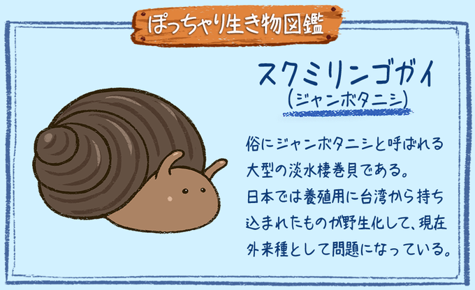 ジャンボタニシのtwitterイラスト検索結果 ジャンボタニシのtwitterイラスト検索結果