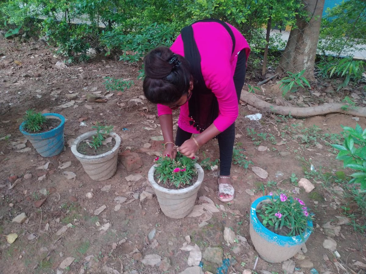 SaloKujur's tweet photo. "SANKALP 2.0- TO CREATE A BETTER TOMMORROW. ...."
ACTIVITY -05
LOCKDOWN GARDEN
During this second wave of COVID -19 Lockdown I make a small garden .
#bsgindia
#OSBSG
#worldscouting
#mopindia
#stcbargaoniti
#happyscouting
#bsgsankalp https://t.co/409Bv0SxZO