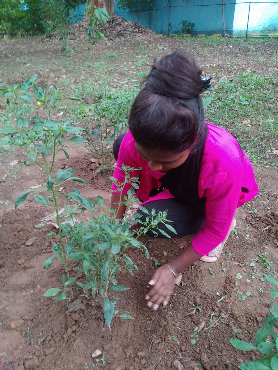 SaloKujur's tweet photo. "SANKALP 2.0- TO CREATE A BETTER TOMMORROW. ...."
ACTIVITY -05
LOCKDOWN GARDEN
During this second wave of COVID -19 Lockdown I make a small garden .
#bsgindia
#OSBSG
#worldscouting
#mopindia
#stcbargaoniti
#happyscouting
#bsgsankalp https://t.co/409Bv0SxZO