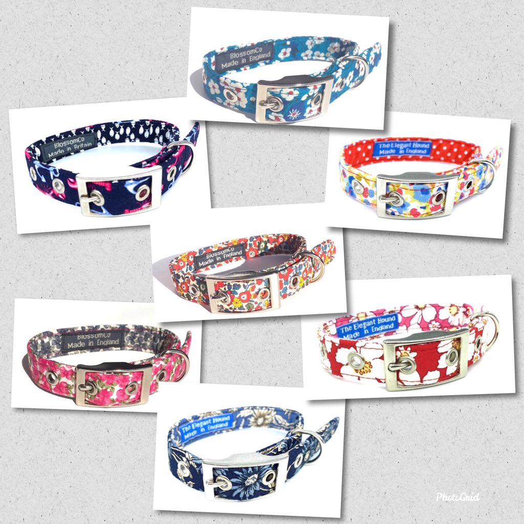 furbabies_ltd's tweet photo. With 6 sleeps until we open, we have more exciting stock arriving so your #furbabies can be the most fashionable in #Harborne #Birmingham 🐾🐶 #birminghamlife #birminghamdogs #harbornelife #b17 #harbornedogs #harbornecommunity https://t.co/34T0zZHtfz