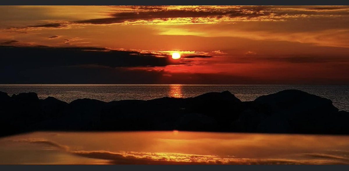 #VentagliDiParole Oggi #13giugno 
la mia aurora si sposa con Nâzim Hikmet… 

“Amo in te
l’avventura della nave che va verso il polo
amo in te
l’audacia dei giocatori delle grandi scoperte
amo in te le cose lontane
…..
amo in te l’impossibile
ma non la disperazione”

📸E.Perotti