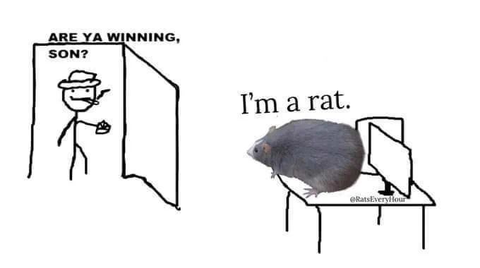 strem 