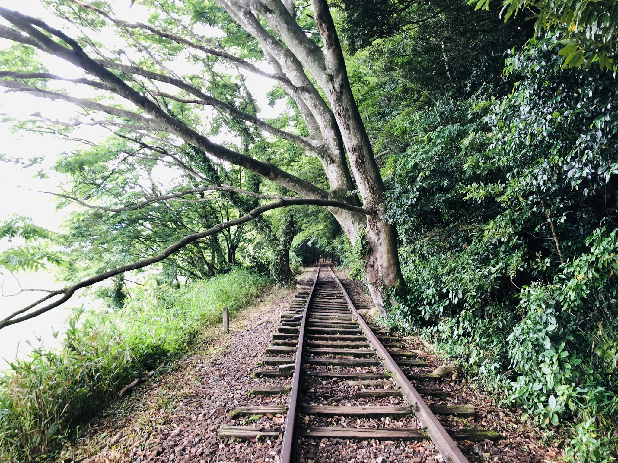 泰久寺駅跡 Twitter Search Twitter