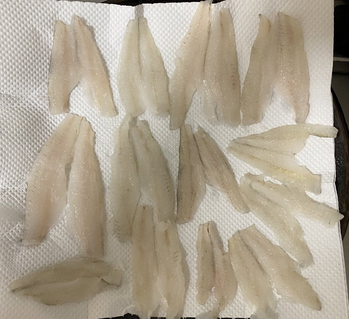 魚の捌き方 魚の捌き方