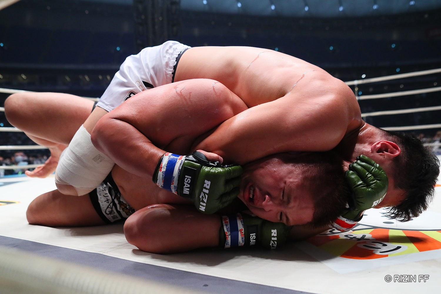 E3w-0-JVoAIZiaU?format=jpg&name=large