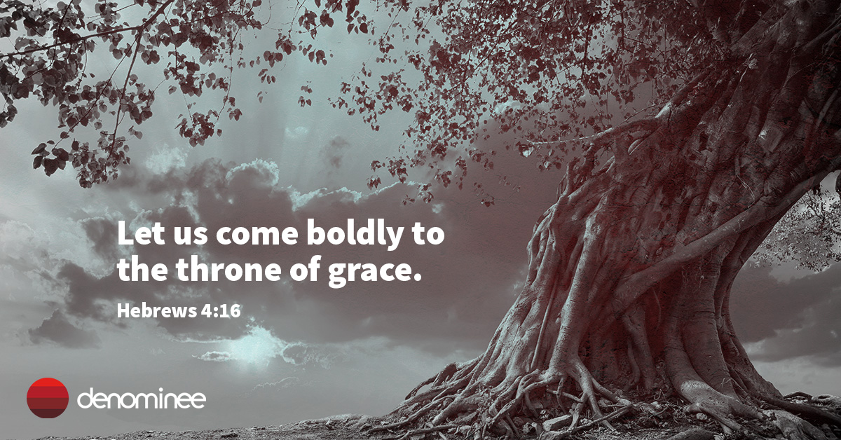 Denominee tweet media