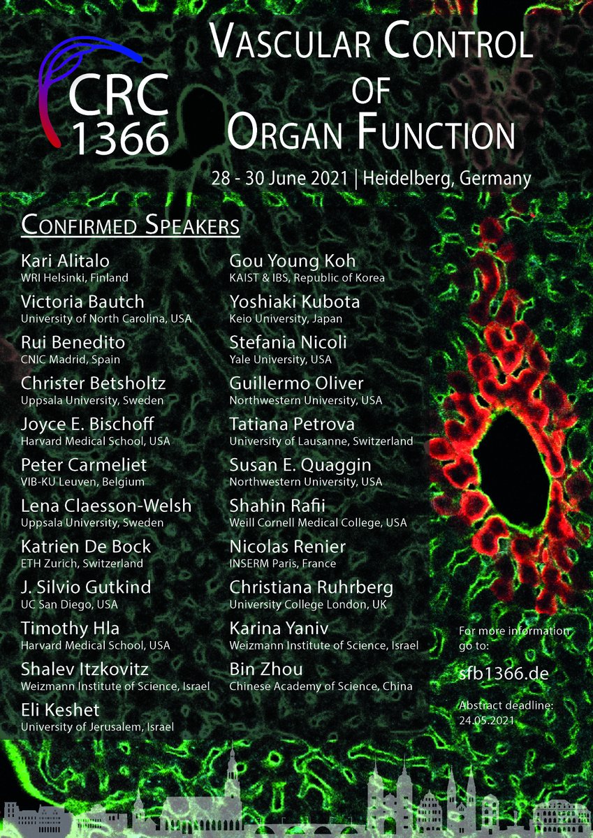 Looking forward to participating in the #CRC1366 meeting in #Heidelberg organized by @HellmutAugustin - complete with interactive sessions, pre- and post-talk quizzes and of course online sessions! #VascularBiology #ScientificCommunity #STEM sfb1366.de/international-…