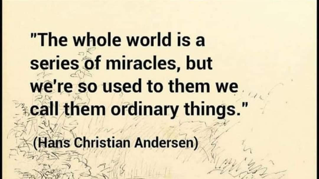 RobinWebster1's tweet image. The whole world is a series of miracles, but we're so used to them we call them ordinary things. 
- Hans Christian Andersen