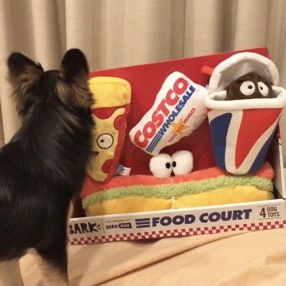 ペット用品 Twitter Search Twitter