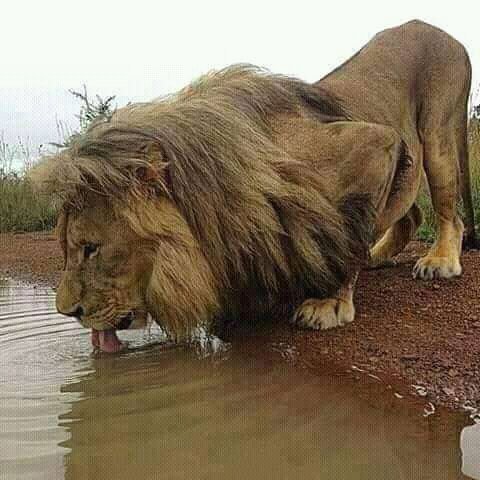 BoongoTv's tweet image. 