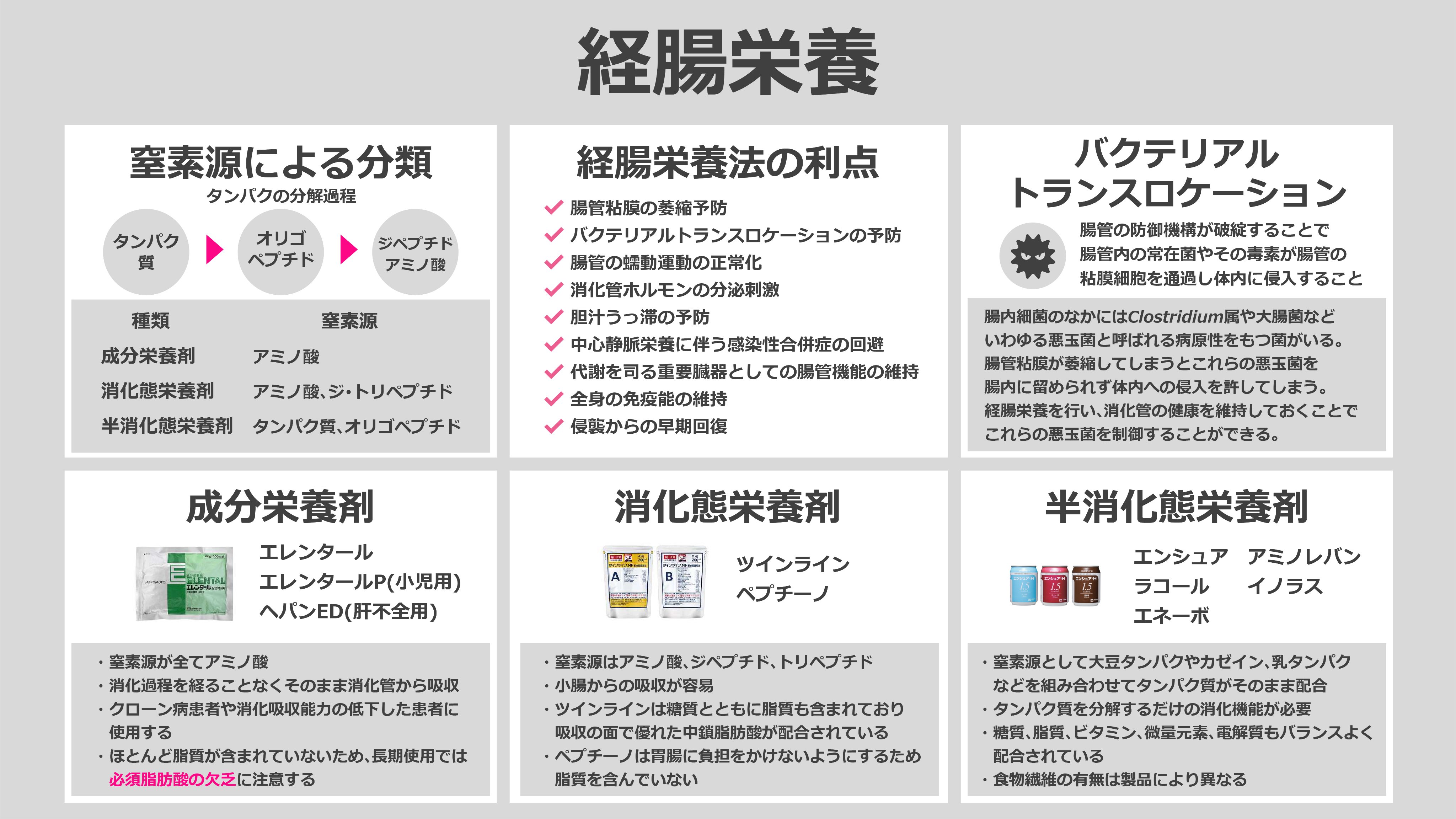 ちせ Chise Twitter