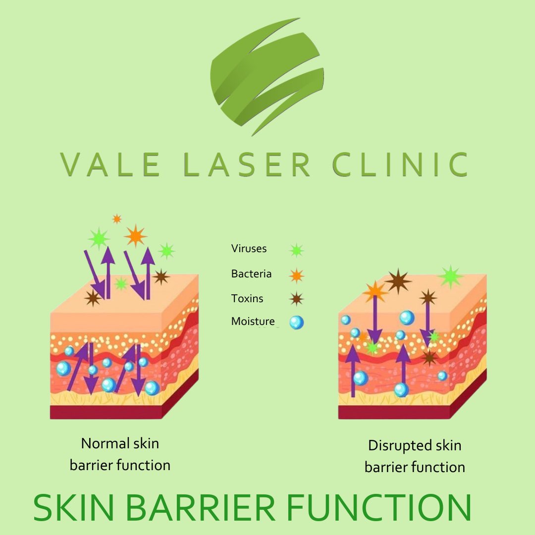 valelaserclinic's tweet photo. Your skin barrier is vital in protecting your skin health.   All inflammatory skin conditions have a disrupted barrier and repairing it is priority.  #skinscience https://t.co/7cdaDljplH